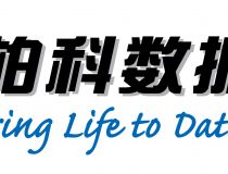 闪耀亡灵，担当大盗